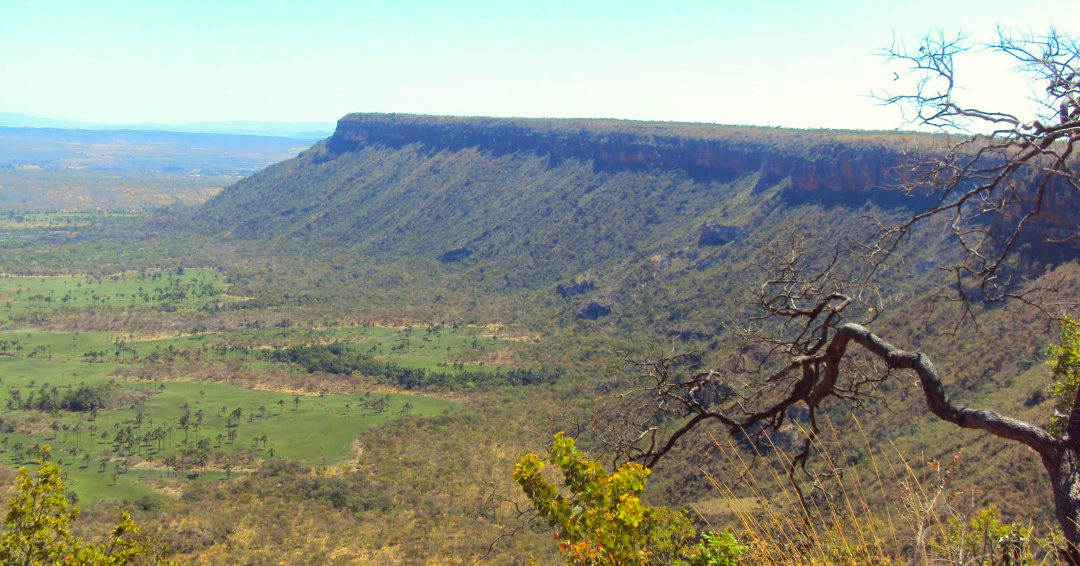 Serra Geral do Tocantins Ecological Station