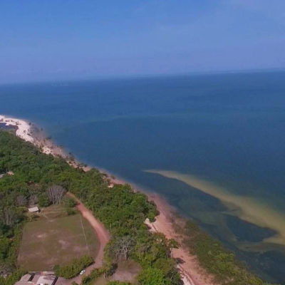 Tapajós National Forest