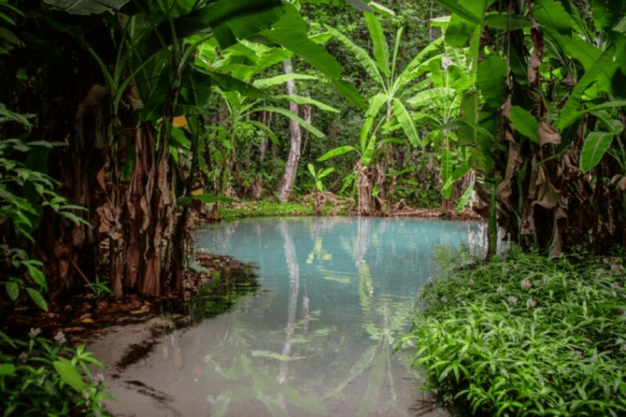 A lagoon with blue-green waters surrounded by the cerrado vegetation of Jalapão, with tropical trees and plants reflected on the calm water surface.