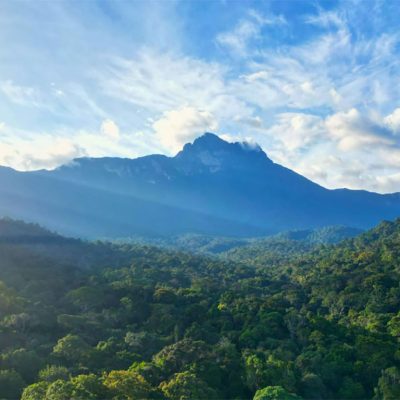 Pico da Neblina National Park
