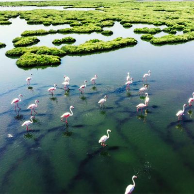 Encontro das Águas State Park