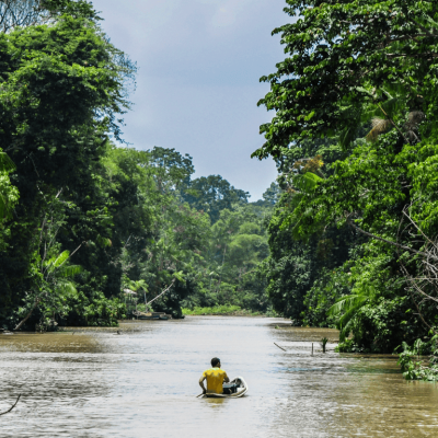 Combú Island Environmental Protection Area