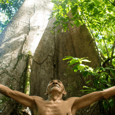Community of Boa Vista do Acará