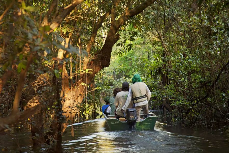 Tourists on a boat exploring an igarapé in Cantão State Park, surrounded by dense, flooded forest.